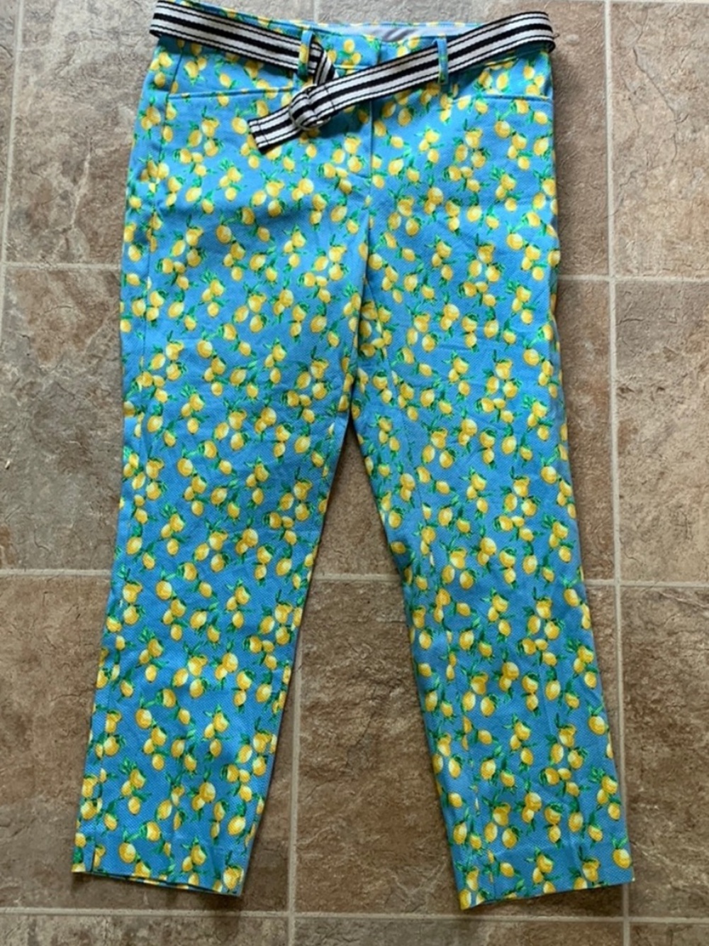 Blue Rafaella Weekend Modern Crop golf Pants Lemon Print  Sz 6